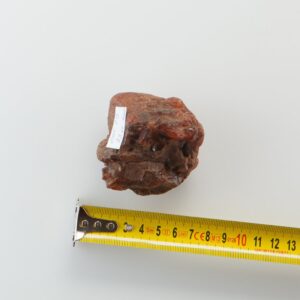 Old Antique Natural Baltic Amber piece. — image 2