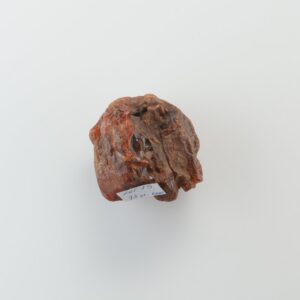 Old Antique Natural Baltic Amber piece. — image 4