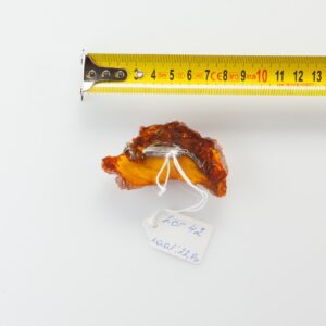 Natural Old Baltic Amber brooch. — image 1