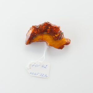 Natural Old Baltic Amber brooch. — image 2
