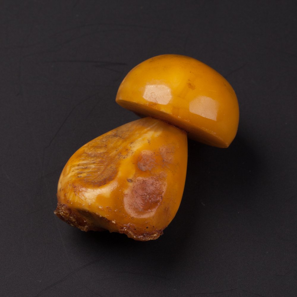 Amber in shape of a mushroom. — image 1