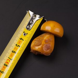 Amber in shape of a mushroom. — image 2