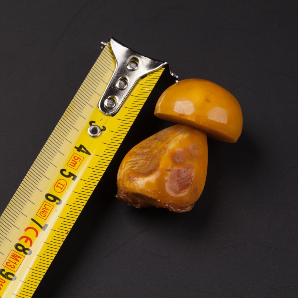 Amber in shape of a mushroom. — image 2
