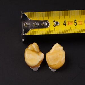 Amber earclips. — image 2
