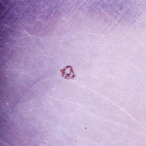French solid silver box. — image 6