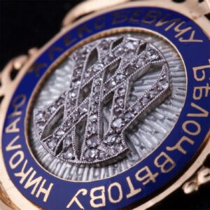 Russian seniority badge of Salamandra Insurance company — image 2