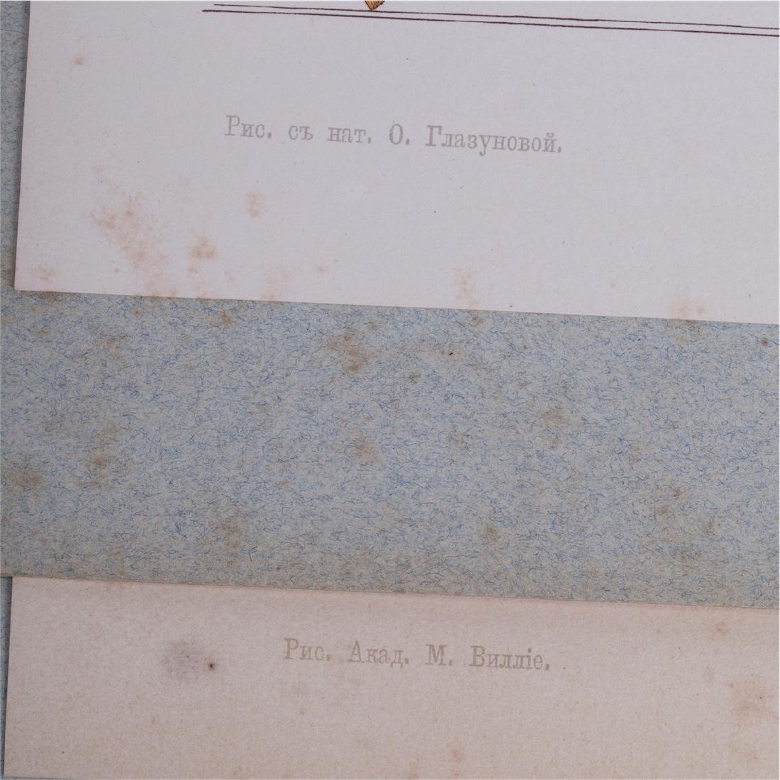 Rare Russian album. Petersburg, 1901 — image 3