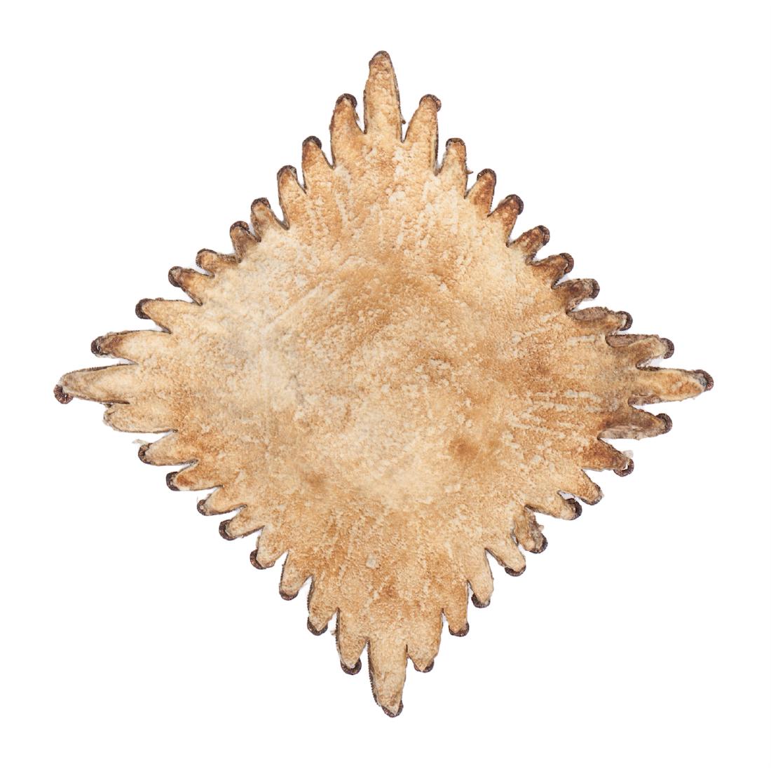 Order of St.George sewn breast star — image 2