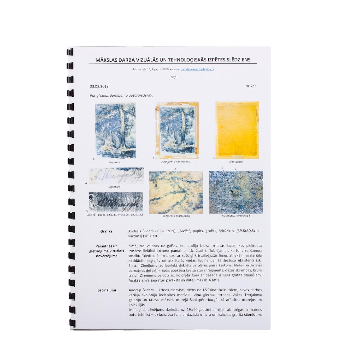 Graphic etude "Pine forest" — image 5