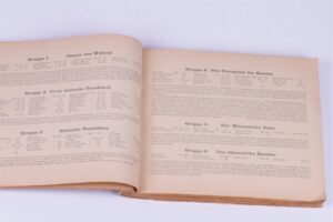 Ballet photo album with leading Dyagilev seasons — image 6