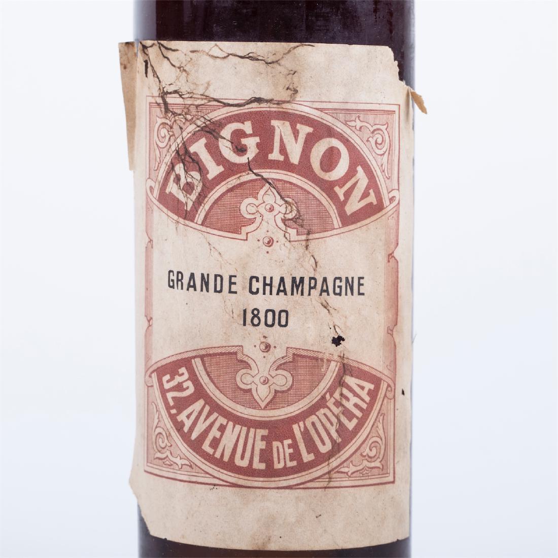 Cognac 1800 Bignon Grande Champagne — image 2