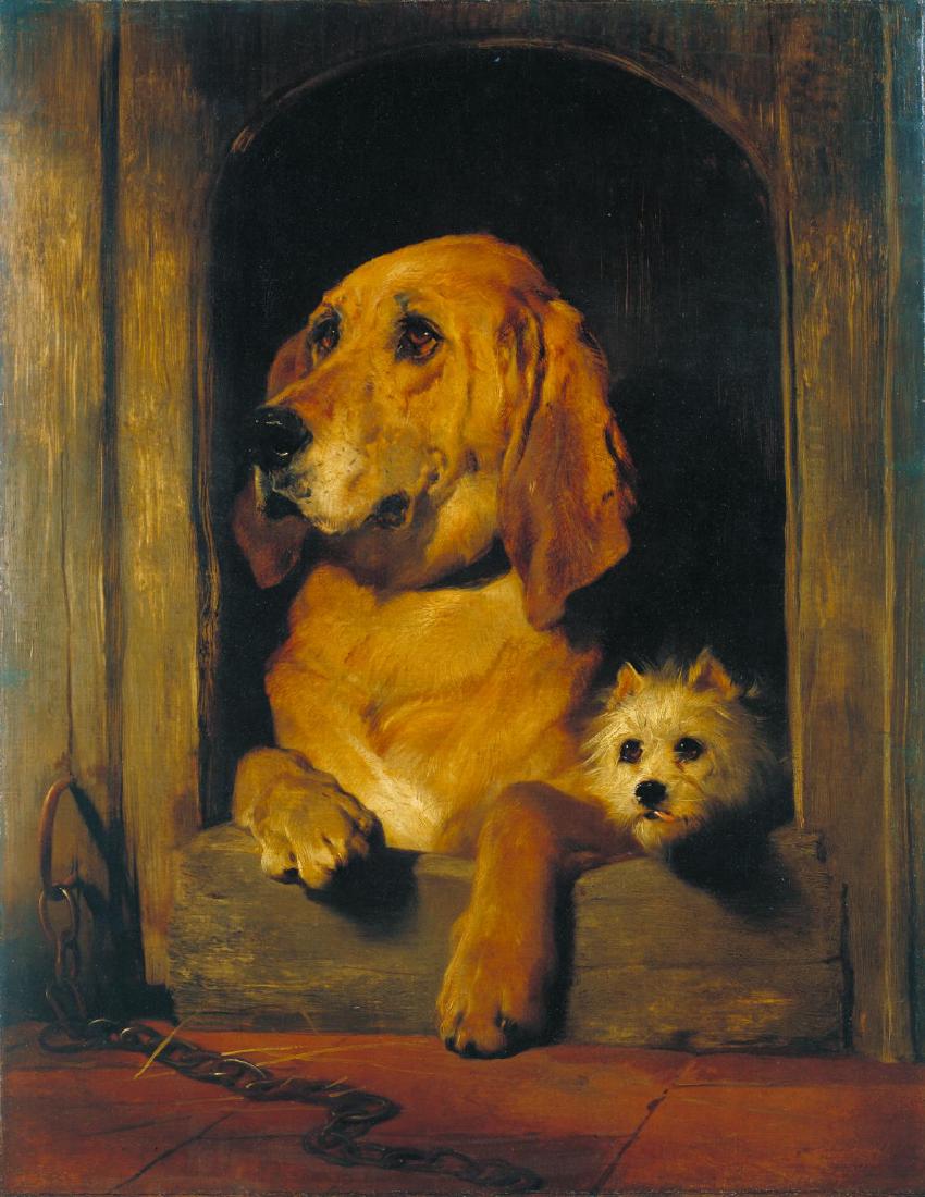 Gold and porcelain pin with Terrier dog head — image 4