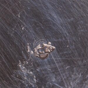 Magnificent antique silver cup applied with a bug — image 6